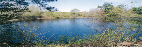 Mast Point Dam