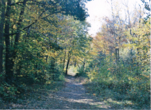 The Riverwalk