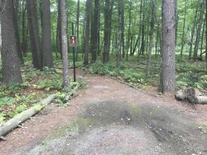 Mast Point Dam trail