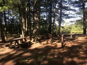 Mast Point Dam picnic area