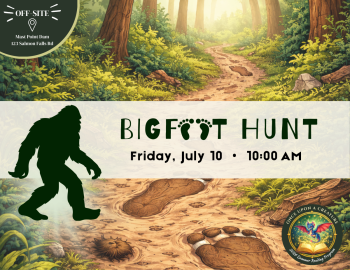 bigfoot hunt