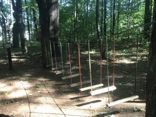 Willand Pond Low Elements Ropes course