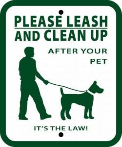 Attention: All Dog Owners!