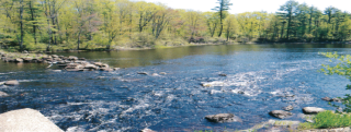 Mast Point Dam